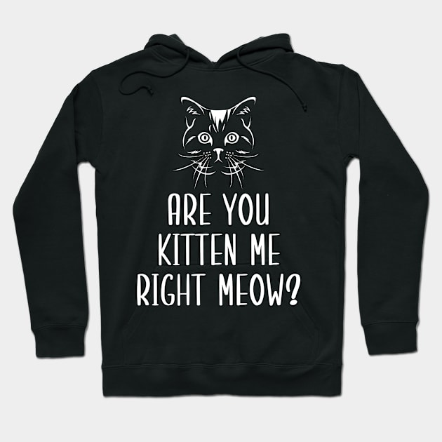 Are You Kitten Me Right Meow Hoodie by Health